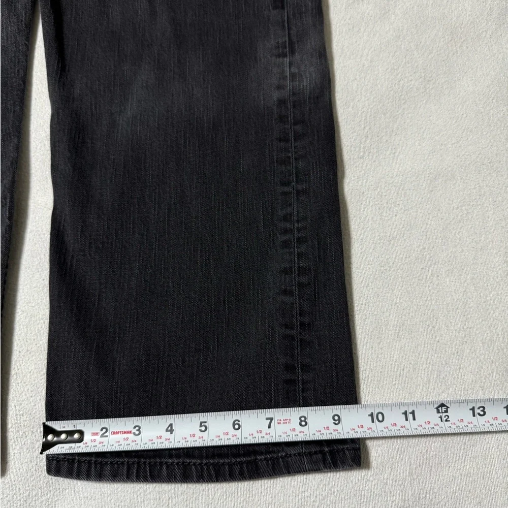 Levis levis 569